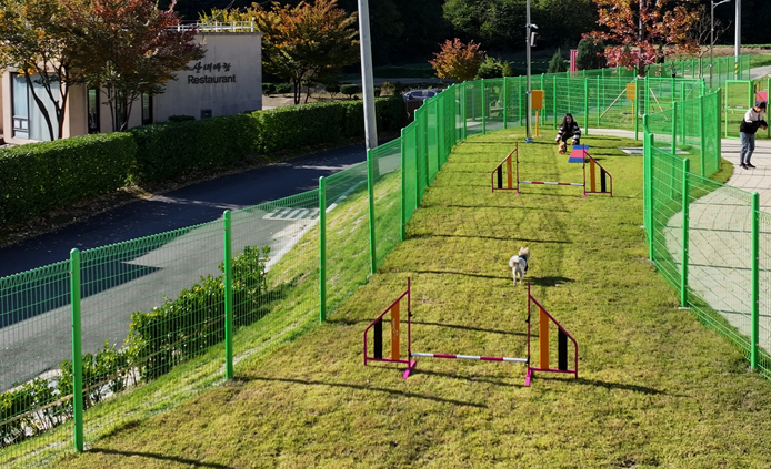 중·소형견 놀이터